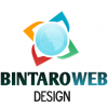 Bintaro Web