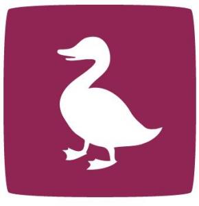 DucksBoard