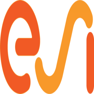ESI Group