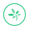 TimeTree