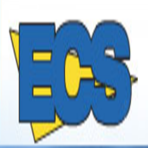 Electronic Control Systems