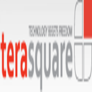 TeraSquare