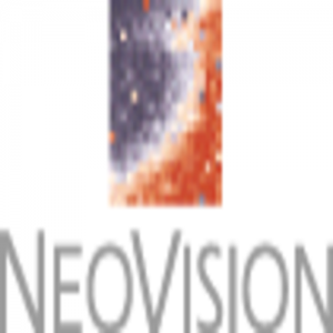 Neovision Hypersystems
