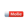 Mollie SMS