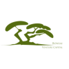 Bonsai Capital