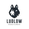 Ludlow Ventures Llc