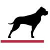 Gp Bullhound