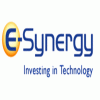 E Synergy