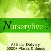 Nurserylive