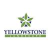 Yellowstone Landscape