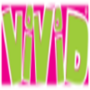 Vivid Toy Group