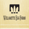 Willamette Egg