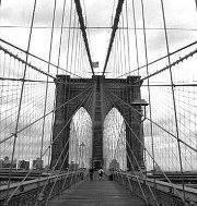 Bridge Global Strategies