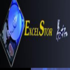 ExcelStor Group