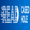 READ Cased Hole
