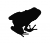TRData