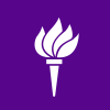 New York University