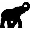 Mastodon Capital Management