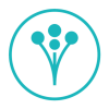 WeddingWire