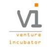 VI Partners