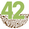 42Angelitos