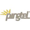 Pingtel