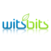 Witsbits