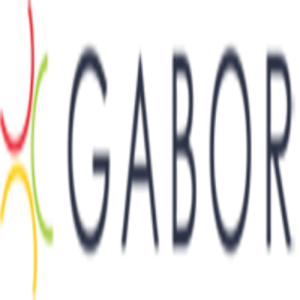 Gabor Insurance Services