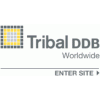 Tribal DDB
