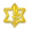 Israel Defense Forces (IDF)