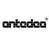 Antedea