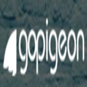 GoPigeon