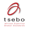 Tsebo Solutions Group