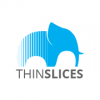 ThinSlices