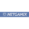 Netgamix Inc