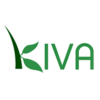 Kiva