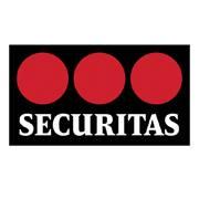 Seguridad Cono Sur