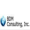 BDM Consulting