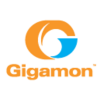 Gigamon