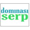 DominasiSERP - SEO Agency Jakarta
