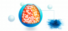 Tagra Biotechnologies Ltd.