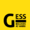 G-ESS