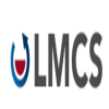 Light Metal Casting Solutions Group