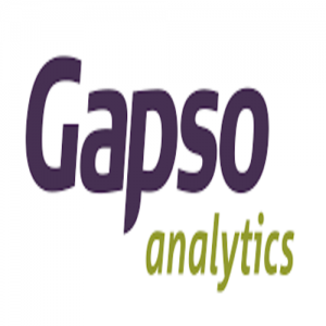 Gapso Serviços de Informática Ltda.