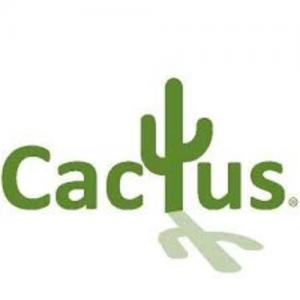 Cactus LLC