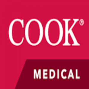 Cook Medical - Vertebroplasty Platform Assets