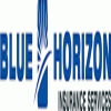 Blue Horizon Insurance Services