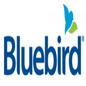 Bluebird Systems