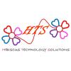 Hibiscus Technology Solutions