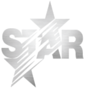 New Star Holdings International